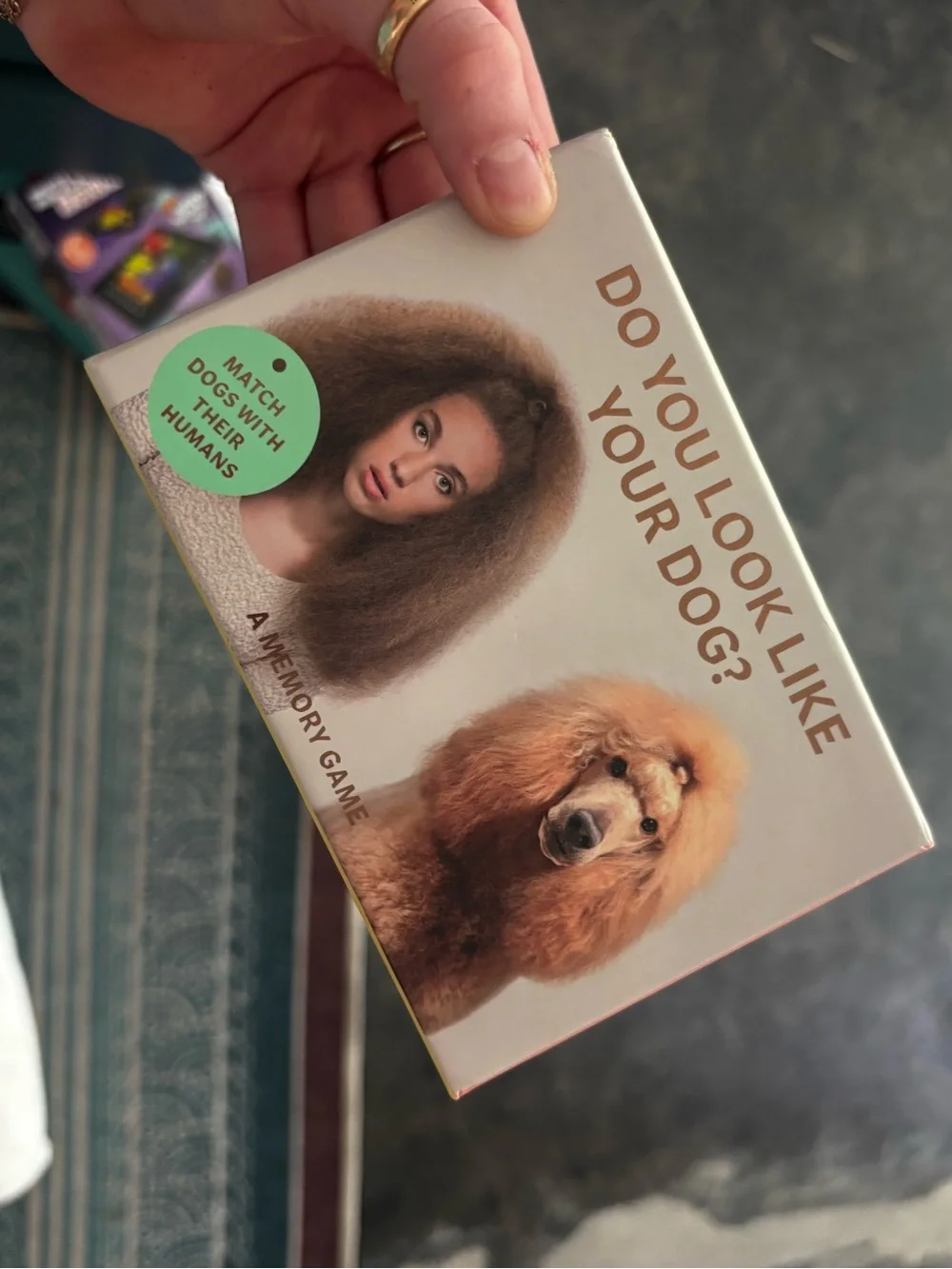 Do You Look Like Your Dog? Memory Game - Cream Box